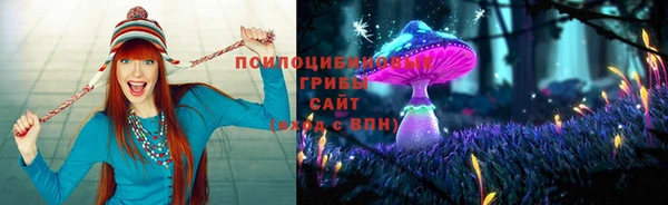PSILOCYBIN Верхнеуральск