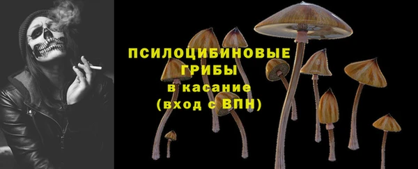 гидра Бугульма