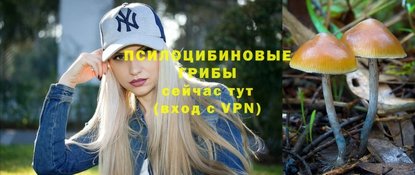 гидра Бугульма