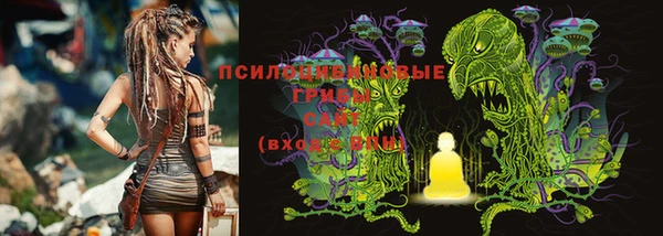 гидра Бугульма
