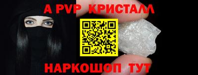 гашик Моздок
