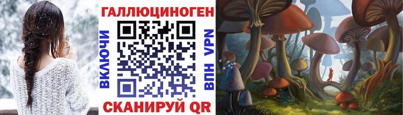 Галлюциногенные грибы прущие грибы  где продают наркотики  Дальнегорск 