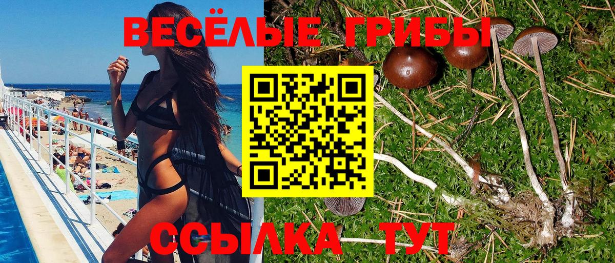 Галлюциногенные грибы Magic Shrooms  Галлюциногенные грибы Magic Shrooms  Вход с VPN  Дальнегорск 